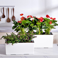 Balcon boîte à fleurs suspendu rectangulaire rampes d'aspiration automatique suspendu pot de fleur tournesol décoration plantation lit de fleurs