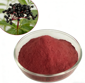 Водорастворимый экстракт дикой бузины, сырье пищевого класса, порошок бузины - Product Image 1