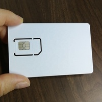Carte SIM de test GSM WCDMA pour Agilent 8960 All in One Cut