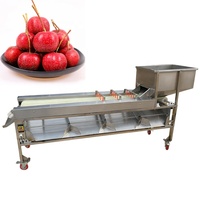 Fruit- en groentesorteermachine met motor, roestvrij staal, hoge capaciteit 58800 stuks/uur