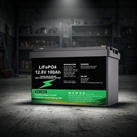 Batterie personnalisée modèle 12100, étanche IP68, coque ABS pour stockage solaire domestique (6000 cycles), OEM LiFePO4 12.8V/25.6V