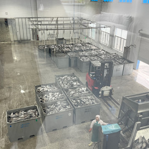 Línea de producción de pescado de sardinas enlatadas de alta calidad de fábrica, equipo de fabricación de sellado de conservas, planta de procesamiento - Product Image 3