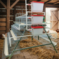 Cage de contrôle des maladies pour poules pondeuses, 4 niveaux, 128 oiseaux, avec plateau à fumier
