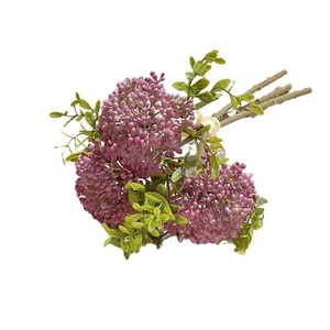 Vente chaude Artificielle Berry Branche En Plastique Plantes Succulentes Real Touch Ball Nouvel An <span class=keywords><strong>Bouquet</strong></span> <span class=keywords><strong>De</strong></span> Mariage Décoration <span class=keywords><strong>De</strong></span> Table pour - Product Image 5