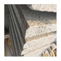 Marche d'escalier en granit à deux rainures pour usage hôtelier extérieur, escalier droit moderne, marche en pierre naturelle XS1249 Sinoscenery