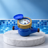 Compteur d'eau SRJ en fonte avec anneau en laiton, multi-jets DN15-250, débit R100 personnalisable, protection numérique IP65, OEM, garantie 2 ans