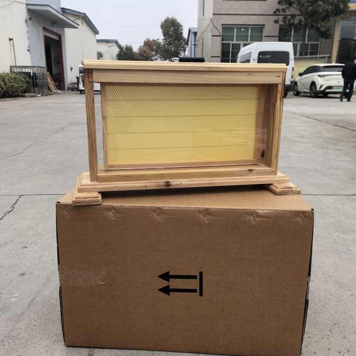 Beekeeping Transparent Bee Hive - Observation & Inspection