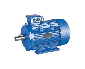 Moteur asynchrone triphasé à faible bruit <span class=keywords><strong>SALSON</strong></span> pour machines minières, efficacité IE2, montage au sol, puissance nominale 22 kW, 380 V - Product Image 1