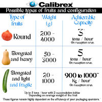Máquina clasificadora de peso CALIBREX fabricada en Francia para frutas y verduras alargadas y frágiles, y productos grandes como pepinos.