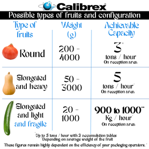Máquina clasificadora de peso CALIBREX fabricada en Francia para frutas y verduras alargadas y frágiles, y productos grandes como pepinos. - Product Image 4