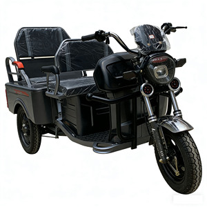 Triciclo Eléctrico de Pasajeros Abierto de 48V y 60KM con Marco de Acero para Viajes Cortos, Triciclo Eléctrico Pequeño de 3 Ruedas para Adultos, 2 Personas y Carga - Product Image 1
