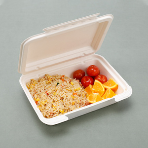 Custom Ecopack Disposable Food Take Away Sugarcane Bagasse Lunch Box Paper Pulp Box Packaging Biodegradable Food Lunch Box
