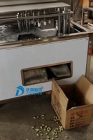 Machine à dénoyauter les dattes et les cerises, très demandée