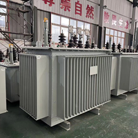 Transformateur de régulation de tension immergé dans l'huile à trois phases, tension de sortie réglable, 50/60Hz, certifié ISO CE pour laboratoire