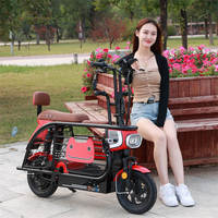 Vélo Électrique Monoplace D1 Little Dudu de Haute Qualité pour Animaux de Compagnie, Scooter pour Chiens de Petite/Moyenne Taille, 38kg, 48V, Cadre en Acier, Moteur Arrière 400W