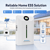 Batería de Almacenamiento Solar Dividida de 10.24kWh, Compatible con Comunicación CAN, Híbrida, Paquete de Baterías LiFePO4 de 51.2V 200Ah para Inversor Growatt