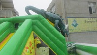 QIQU Combo Inflable Resistente para Escalada en Pared con Diseño de Animales de la Selva, 20x6m, Capacidad de 2000kg, Ecológico