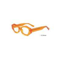 Montures de lunettes optiques œil de chat géométriques en acétate TR avec branches colorées pour verres correcteurs OEM ODM