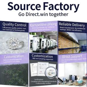 Anillo de Titanio G23 de 16G para Nariz y Septum, con Incrustaciones de Circonita en la Parte Frontal, Pendiente de Cartílago Helix, Clicker Daith, Nueva Joyería para Piercing Corporal - Product Image 6