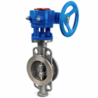 Katup Kupu-kupu Manual Worm Gear Tipe Lug Triple Offset PN16 SS304 SS316 Berbahan Logam untuk Industri DN50-DN150 untuk Air, Minyak, Gas
