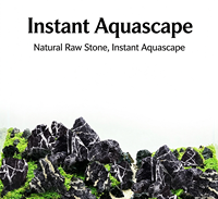 Accessoires de paysage pour aquarium en pierre de dragon délavée à l'acide, décorations écologiques pour aquarium