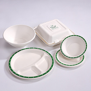 <b>Pulp</b> Molded Tableware Set Biodegradable Paper Plates Bowls Food Containers EcoFriendly Disposable Dinnerware Sample - Product Image 1