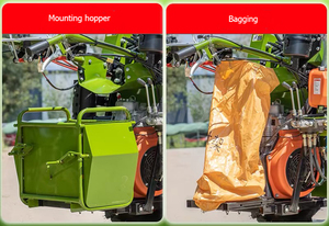 <span class=keywords><strong>Mini</strong></span> cosechadora de maíz dulce de una sola fila para caminar detrás de la pequeña máquina cosechadora de maíz - Product Image 6
