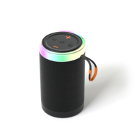 Altavoz Portátil Bluetooth 5.3 con Batería Extraíble, Altavoz Inalámbrico con Luz LED RGB, Tarjeta TF, Subwoofer Estéreo con Bajos