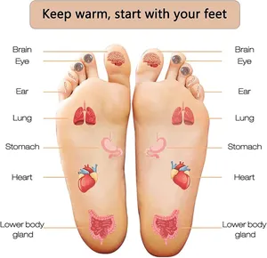 Garanzia di qualità AC120V 60Hz piede massaggio scarpe coperte riscaldate elettrico riscaldamento rapido promozione scalda piedi