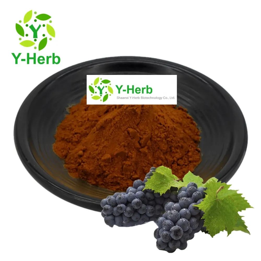 Y-Herb Supply Grapeseed Extract Powder Oligomeric Proanthocyanidin 95% OPC Oligomeric Proanthocyanidins Powder