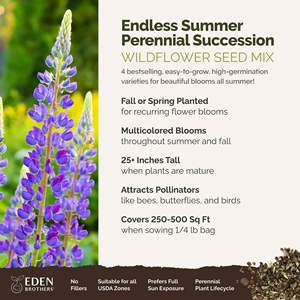 Sucesión perenne de verano sin fin Diseño de maceta de flores mixtas Venta caliente Jardín al aire libre Macetas para el hogar - Product Image 5