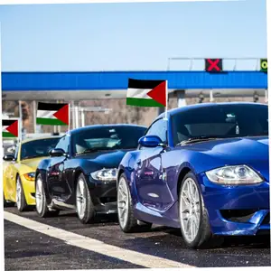 Горячая распродажа небольшой размер водонепроницаемый флаг автомобиля Palestine с флагом и полюсом