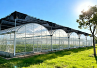 Serre multi-travées en acier galvanisé à chaud, vente directe usine, meilleur prix, qualité supérieure, serre personnalisée pour légumes