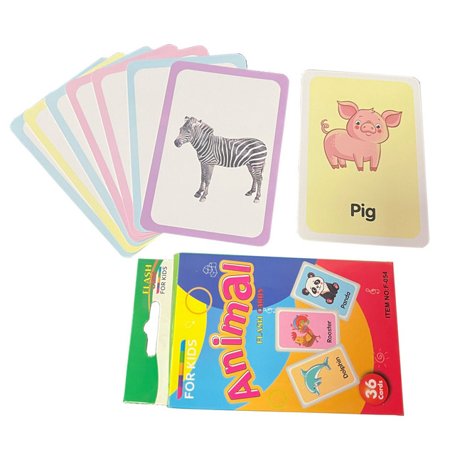 Flash Cards Custom Printed Educational Learning Cards Flash Memory Cards