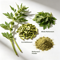 Herbe de mère-vierge (Leonuri Herba) – Plante aromatique, matière première pour tisanes, boissons solides, arôme naturel, encens, savon, shampoing