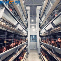 Nouvel équipement de poulailler en acier galvanisé entièrement automatique de type H de haute précision et haute durabilité pour élever des poulets