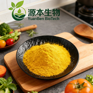 Ekstrak Tanaman Bubuk <span class=keywords><strong>Saponin</strong></span> Kemurnian Tinggi yang Larut dalam Air (98%) - Product Image 3