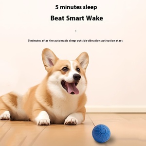 Şarj edilebilir elektrikli otomatik haddeleme silikon Molar topu çevre dostu akıllı kedi ve köpek oyuncak - Product Image 3