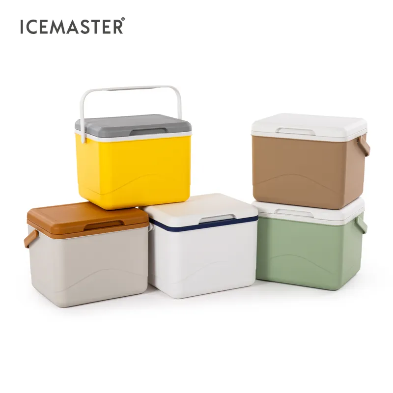 Icemaster 5l Mini portatile spiaggia Picnic pesca all'aperto mantenere fredda temperatura di isolamento freddo scatola del refrigeratore