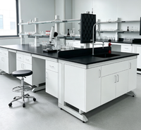Banc de laboratoire en acier et bois à prix abordable, facile à nettoyer, avec étagères réglables pour institut de recherche
