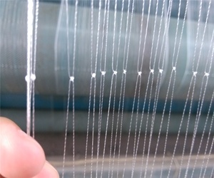 Làm lớn <span class=keywords><strong>Nylon</strong></span> đa <span class=keywords><strong>Mono</strong></span> <span class=keywords><strong>Filament</strong></span> Lưới đánh cá từ ôn Châu Trung Quốc, cua bẫy - Product Image 2