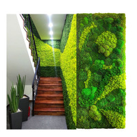 Gazon vert personnalisable pour décoration, mur de mousse préservée à l'intérieur, offre spéciale d'usine, plusieurs couleurs