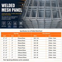Malla de Alambre Galvanizado, Panel de Malla de Alambre Soldado con Soldadura Resistente y Resistencia a la Corrosión