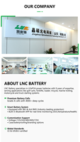 Baterai 300ah 24V 48V 100Ah 160ah 200Ah 300Ah 400Ah Lifepo4 Paket Baterai Lithium dengan BMS JBD 200A untuk Forklift