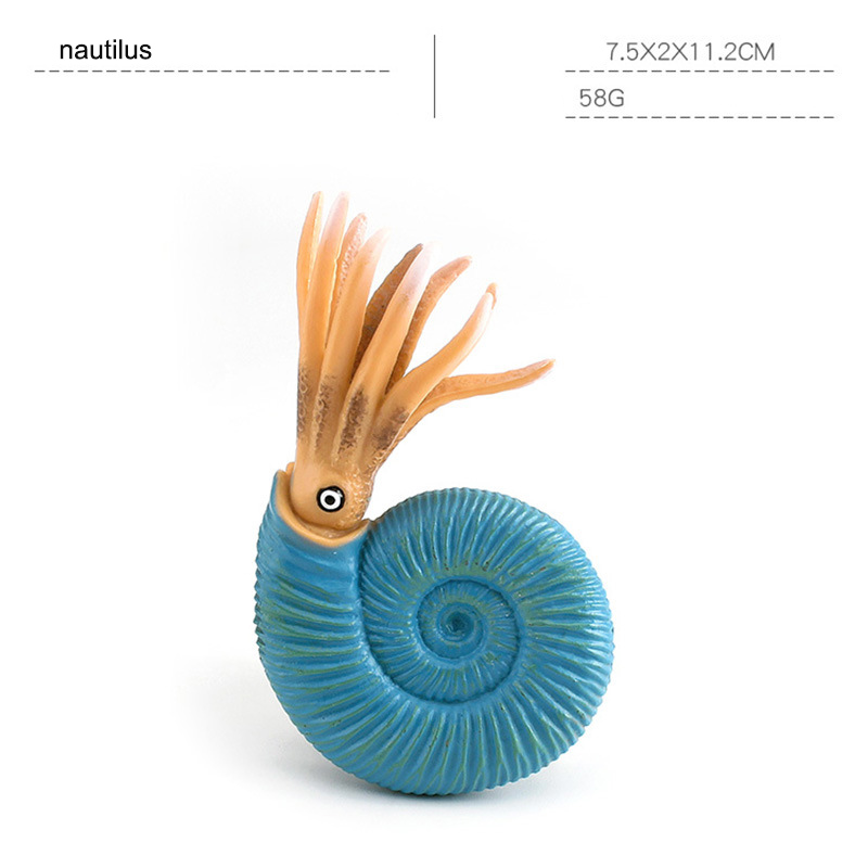Nautilus