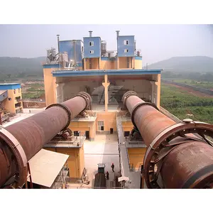 1000t/d Cement Clinker Rotary Kiln Cement Lime Making Production Plant