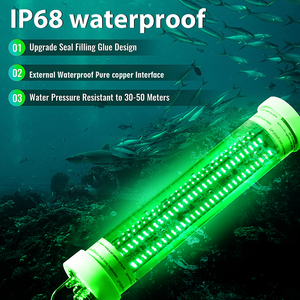 ไฟตกปลา LED IP68สีเขียวเหยื่อล่อสำหรับตกปลาใต้น้ำ DC12V ไฟกลางคืน - Product Image 4