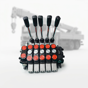 Control Hidráulico Proporcional Industrial con Solenoide, 24V 31.5MPa 100L/min, para Grúas y Camiones, Personalizado OEM CE - Product Image 6