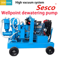 Pompe à eau immergée Sesco SK6C personnalisée, auto-amorçante, haute pression, 6 pouces, en acier inoxydable, à commande entièrement automatique, pour puits