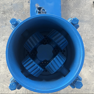 <span class=keywords><strong>Machine</strong></span> <span class=keywords><strong>manuelle</strong></span> de fabrication de granulés d'aliments pour animaux d'élevage (bovins, caprins, ovins, volailles, poissons) - Product Image 4